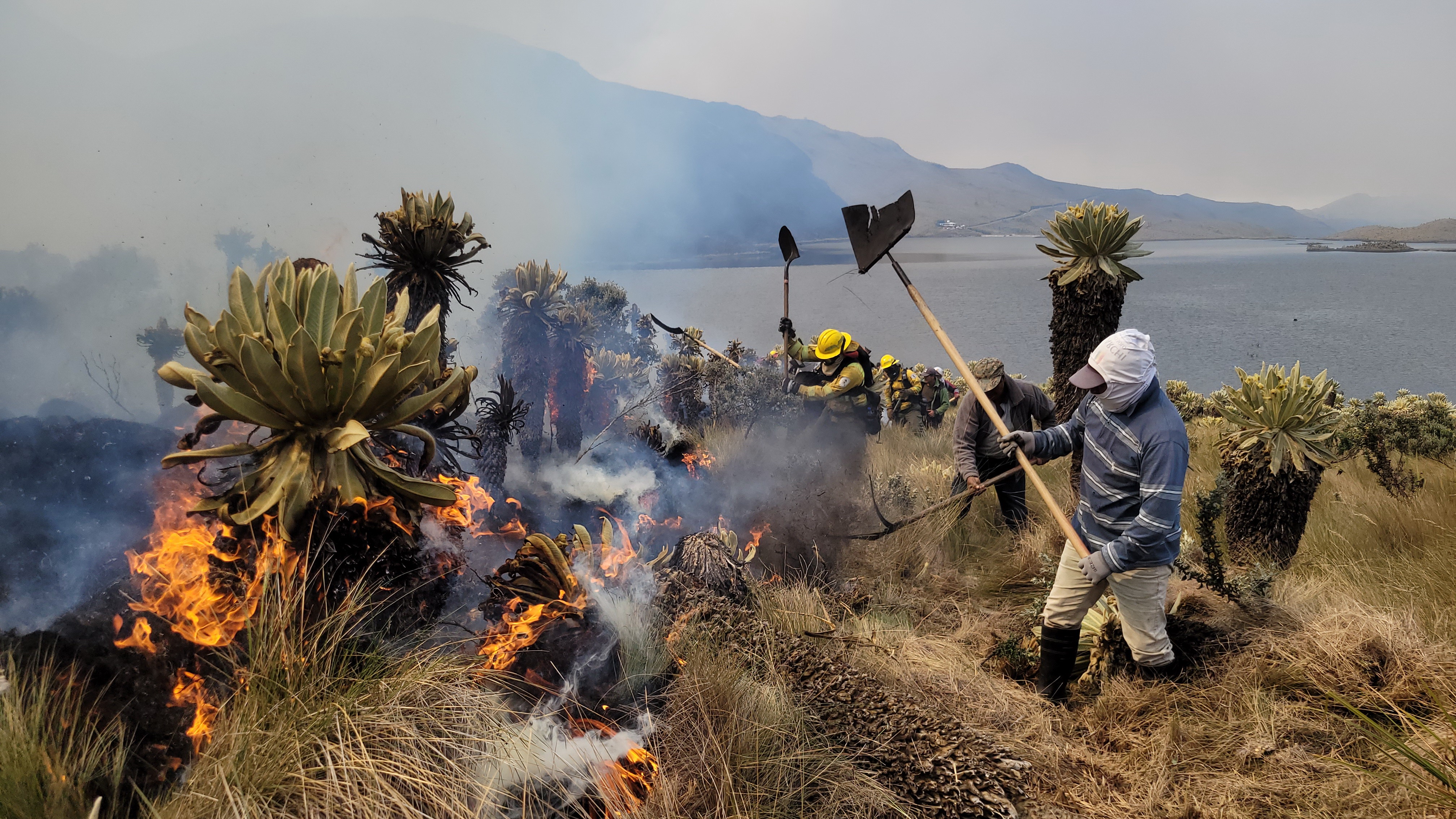 Bomberos de Quito respondió a gran incendio forestal